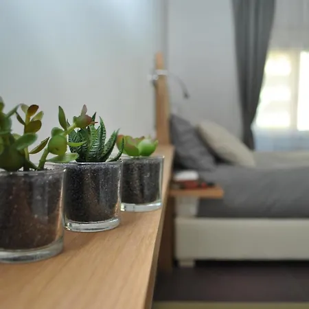 Aleja Bed & Breakfast Roma
